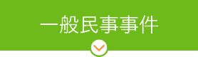 一般民事事件